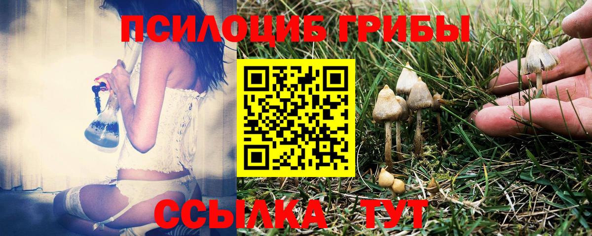 Майский  Псилоцибиновые грибы MAGIC MUSHROOMS  Вход с VPN 